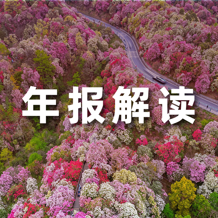 PG电子动力2025营收利润双增，全栈智能驱动增长，AI相关业务收入占比达52.6%  ?